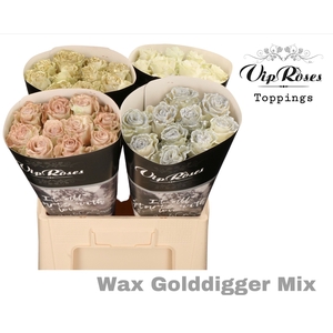 R GR WAX GOLDDIGGER MIX 60CM