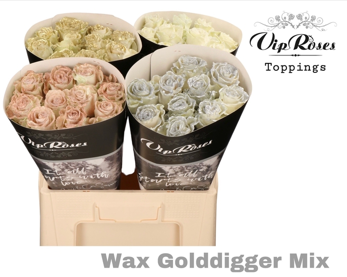 <h4>R GR WAX GOLDDIGGER MIX 60CM</h4>
