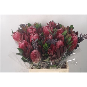 Tropic Bqt Island #3 Per Bunch