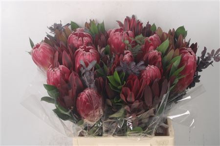 <h4>Tropic Bqt Island #3 Per Bunch</h4>
