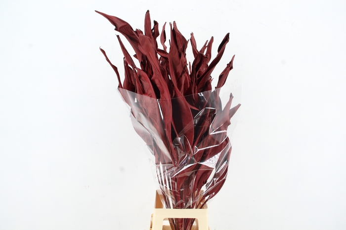 <h4>DF Strelitzia Leaf Bordeaux</h4>