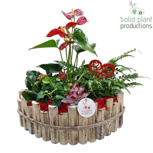 HVAE006 Napoli Large Red