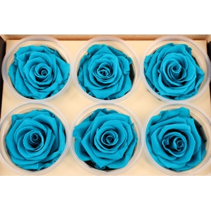 R Prs Turquoise Authentic