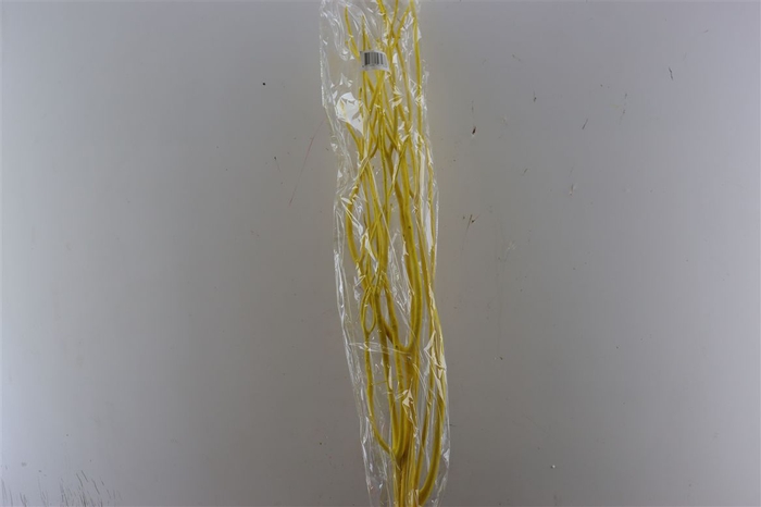 <h4>Mitsumata Flaked Yellow 3pc Bunch</h4>
