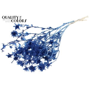 Carthamus per bunch Intense Blue