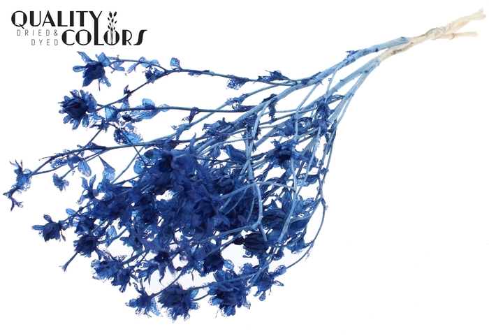 <h4>Carthamus per bunch Intense Blue</h4>
