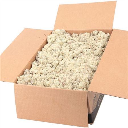 <h4>Ijslandmos (reindeer) Naturel</h4>