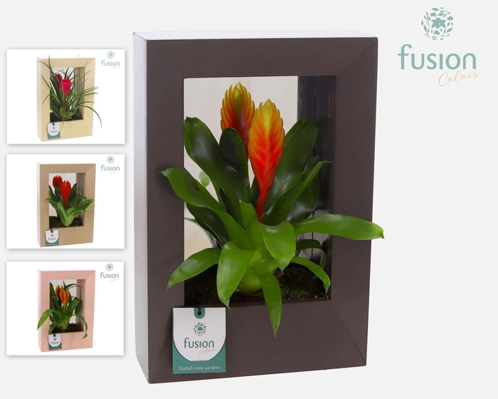 <h4>Houten schilderij met spiegel en Bromelia</h4>