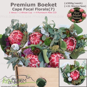 PROTEA PER BOS