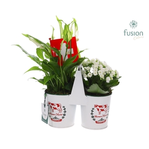 Zinken plantenbak met Arrangement en Zwitserse vlag