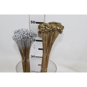 BOTAO PIMENTINHA DESIDRATADO MÇ