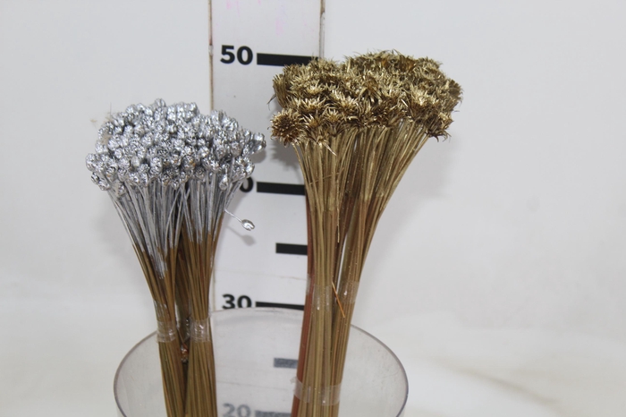 <h4>BOTAO PIMENTINHA DESIDRATADO MÇ</h4>