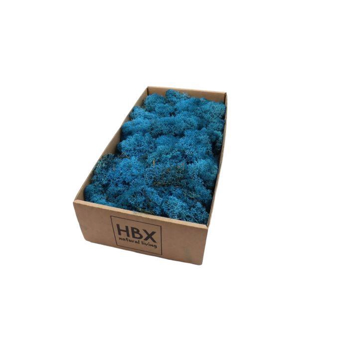 <h4>Moss Reindeer 500g</h4>