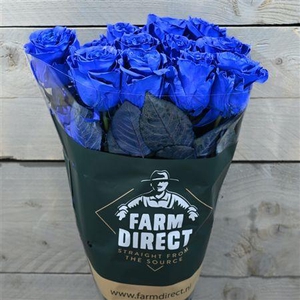 R Gr Mondial Blue
