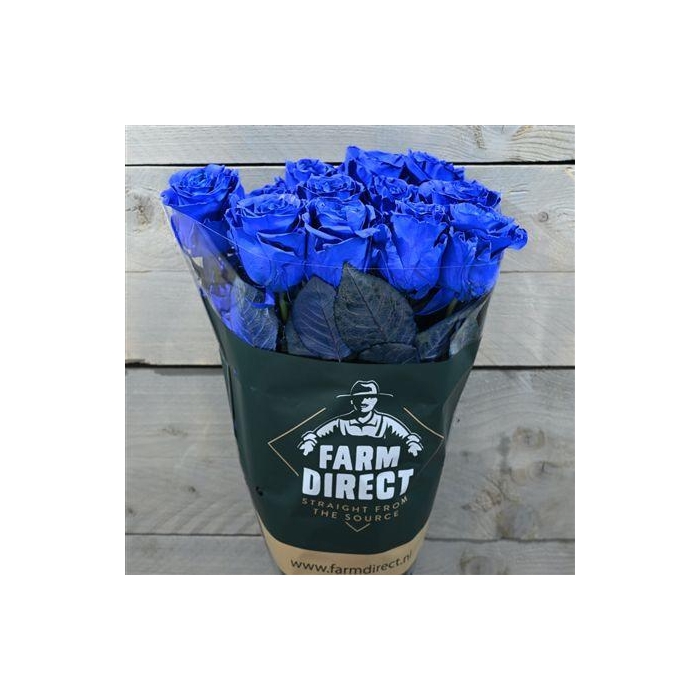 <h4>R Gr Mondial Blue</h4>