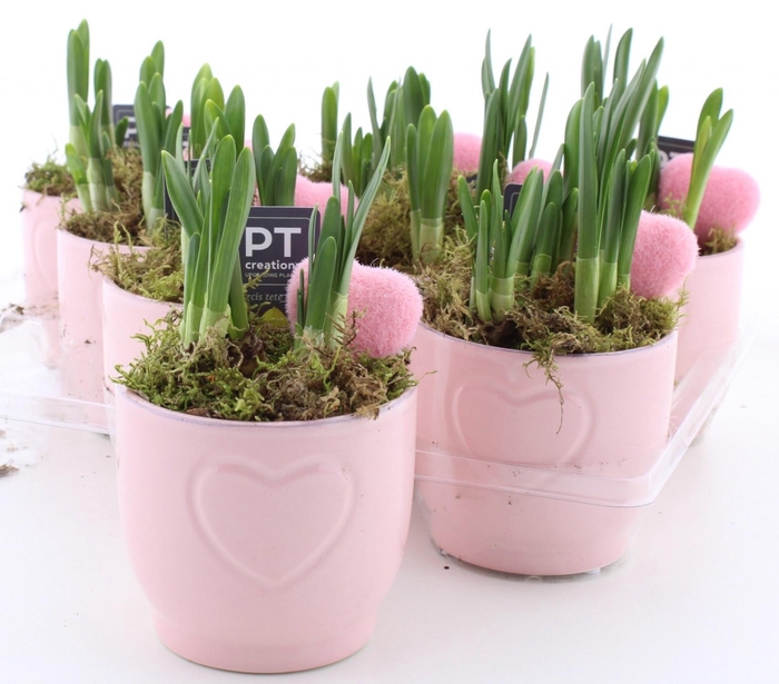 <h4>ARR N TETE A TETE</h4>