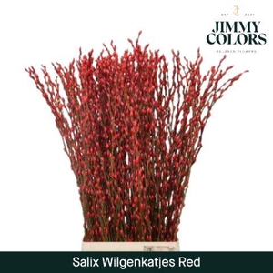 Salix Katjes L120 Red