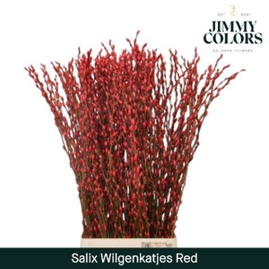 Salix Katjes L120 Red