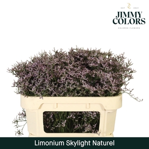 Lim Skylight L70 Naturel