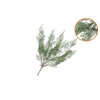 Silk Fern Forest Branch Green Snowy 76cm