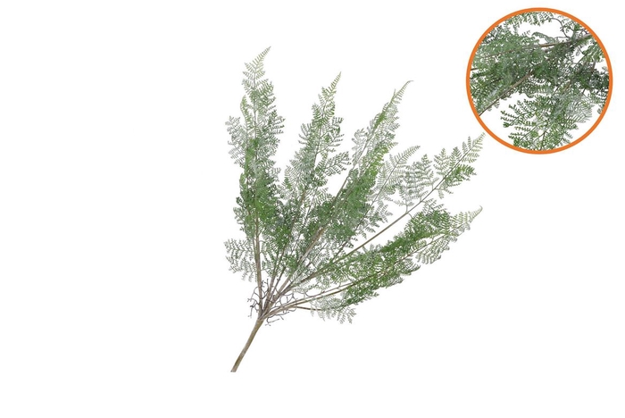 Silk Fern Forest Branch Green Snowy 76cm