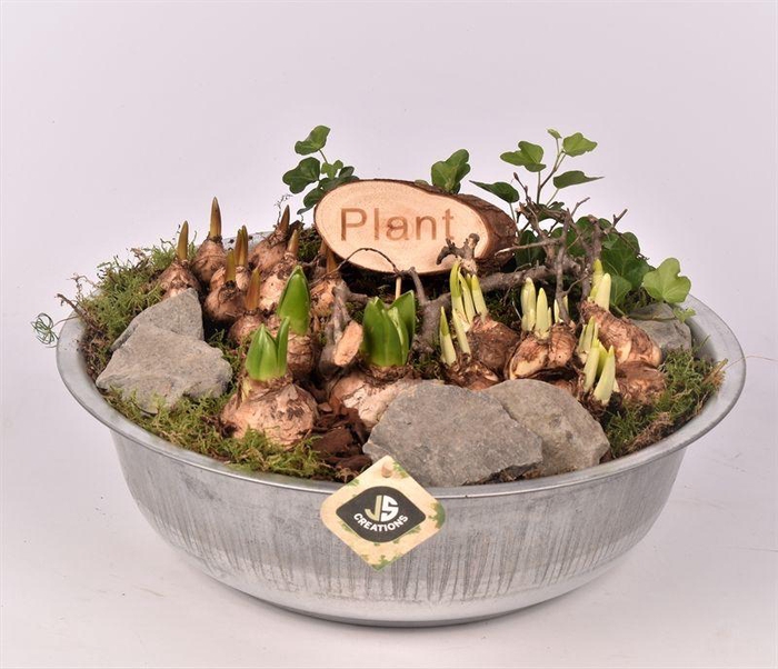 <h4>Zink schaal 33cm</h4>