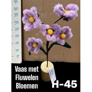 HUIS EN TUINDECO H%