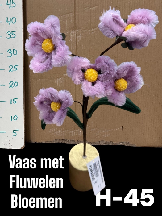 <h4>HUIS EN TUINDECO H%</h4>
