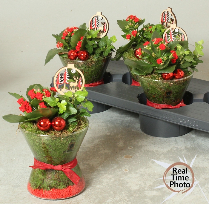 <h4>Arr Kamerpl</h4>