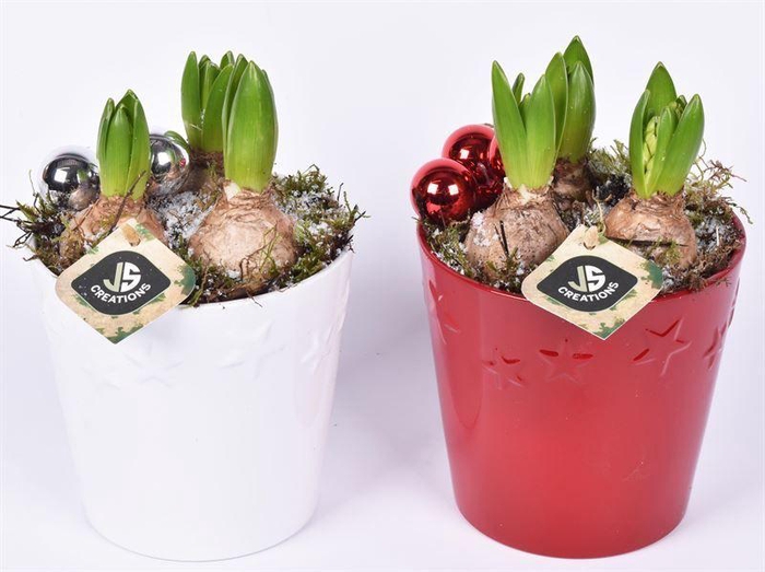 <h4>Keramiek ster decor pot 13.5cm</h4>