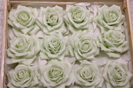 Wax Roos Pastel Groen