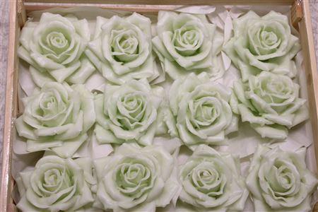 Wax Roos Pastel Groen
