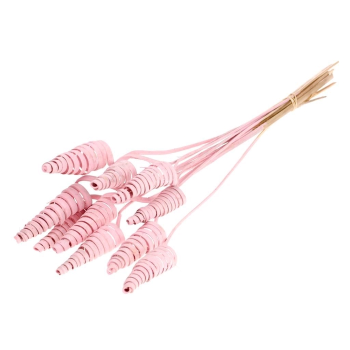 <h4>Cane cone 10pc SB pink misty</h4>