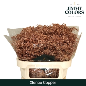 Gyps Xlence l70 Mtlc. Copper