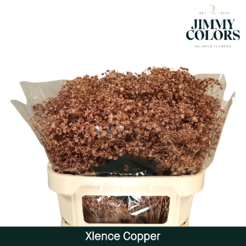 Gyps Xlence L70 Mtlc. Copper