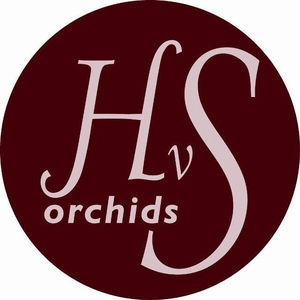 CYMB T VENEZIA 80 CM