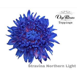 Chr G Stravina Northern Light