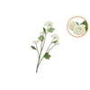 Silk Viburnum White 69cm