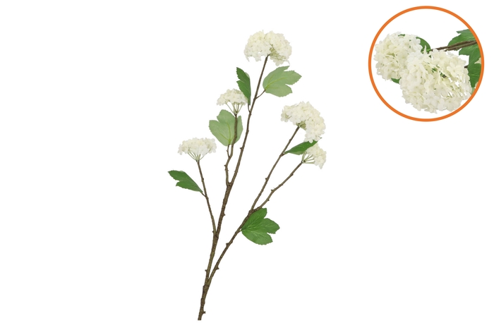 Silk Viburnum White 69cm