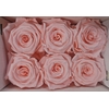 Ro Pres Classic Pink Soft