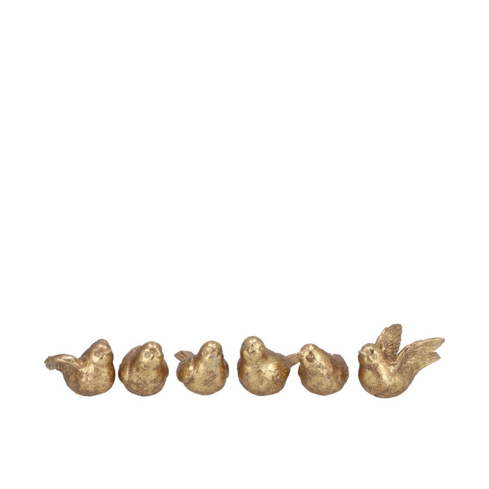 <h4>Deco Humming Bird Gold 6 Assorted 5x5x9cm</h4>