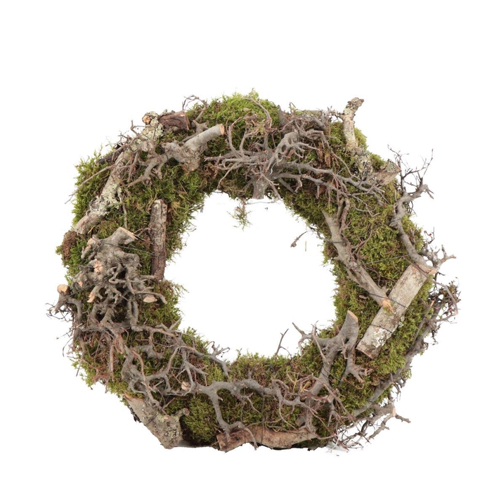 <h4>Krans Moss Bonsai Larix</h4>