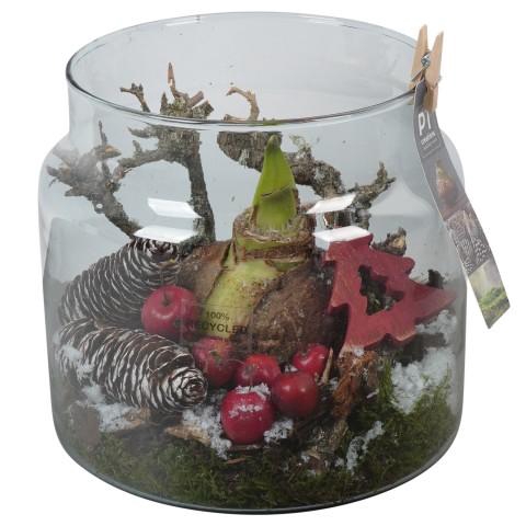 <h4>PTACH5946 Arrangementen Kerst</h4>