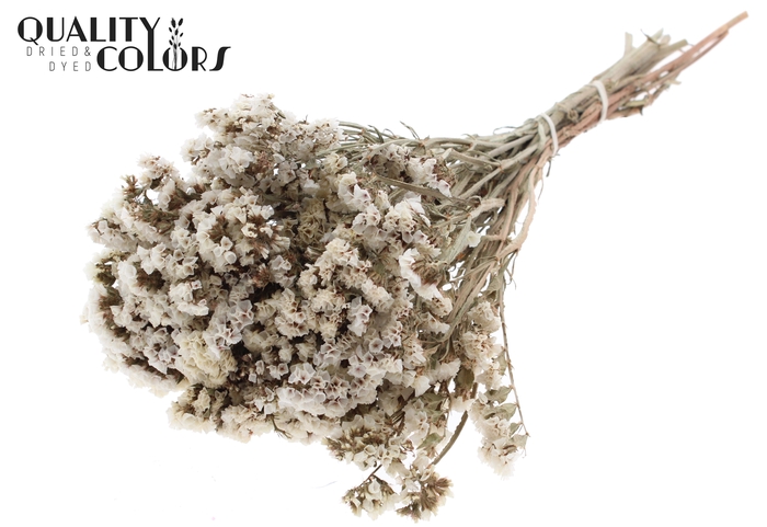 Statice per bunch Natural White