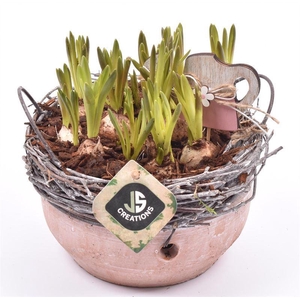 Cement schaal met wilg rand 18cm