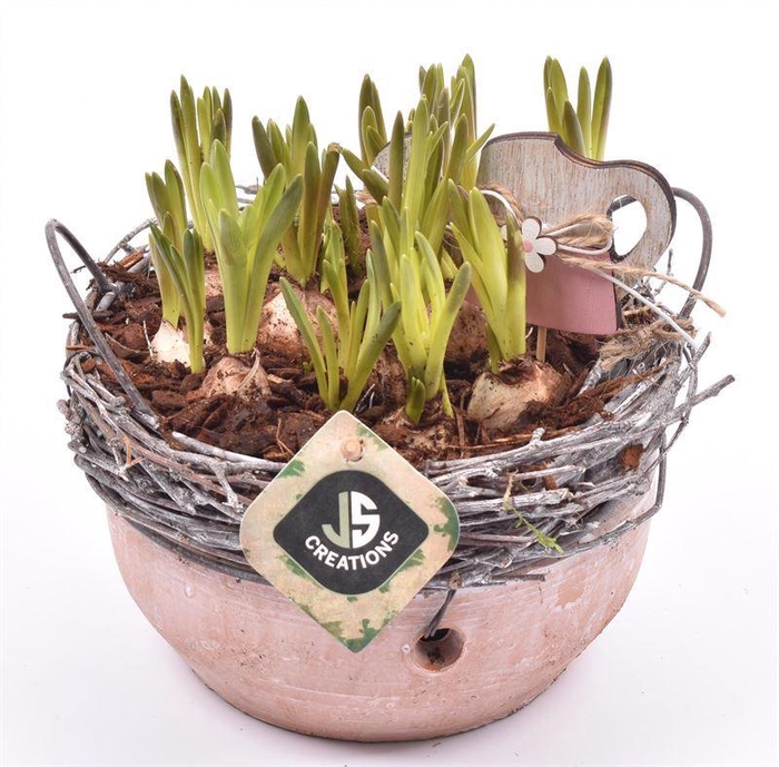 <h4>Cement schaal met wilg rand 18cm</h4>