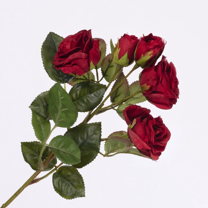 <h4>Rosa Spray Red FL440242RED</h4>