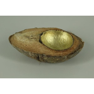 Coconut Half Inside Gold