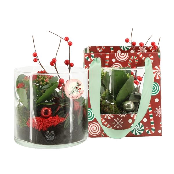 <h4>61994: X-mas arrangement</h4>