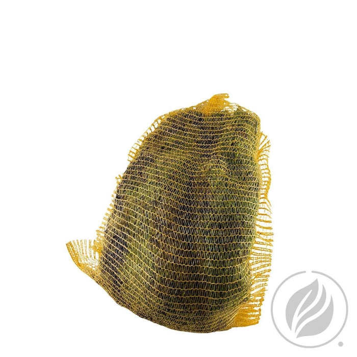 <h4>Platmos Bag Super</h4>